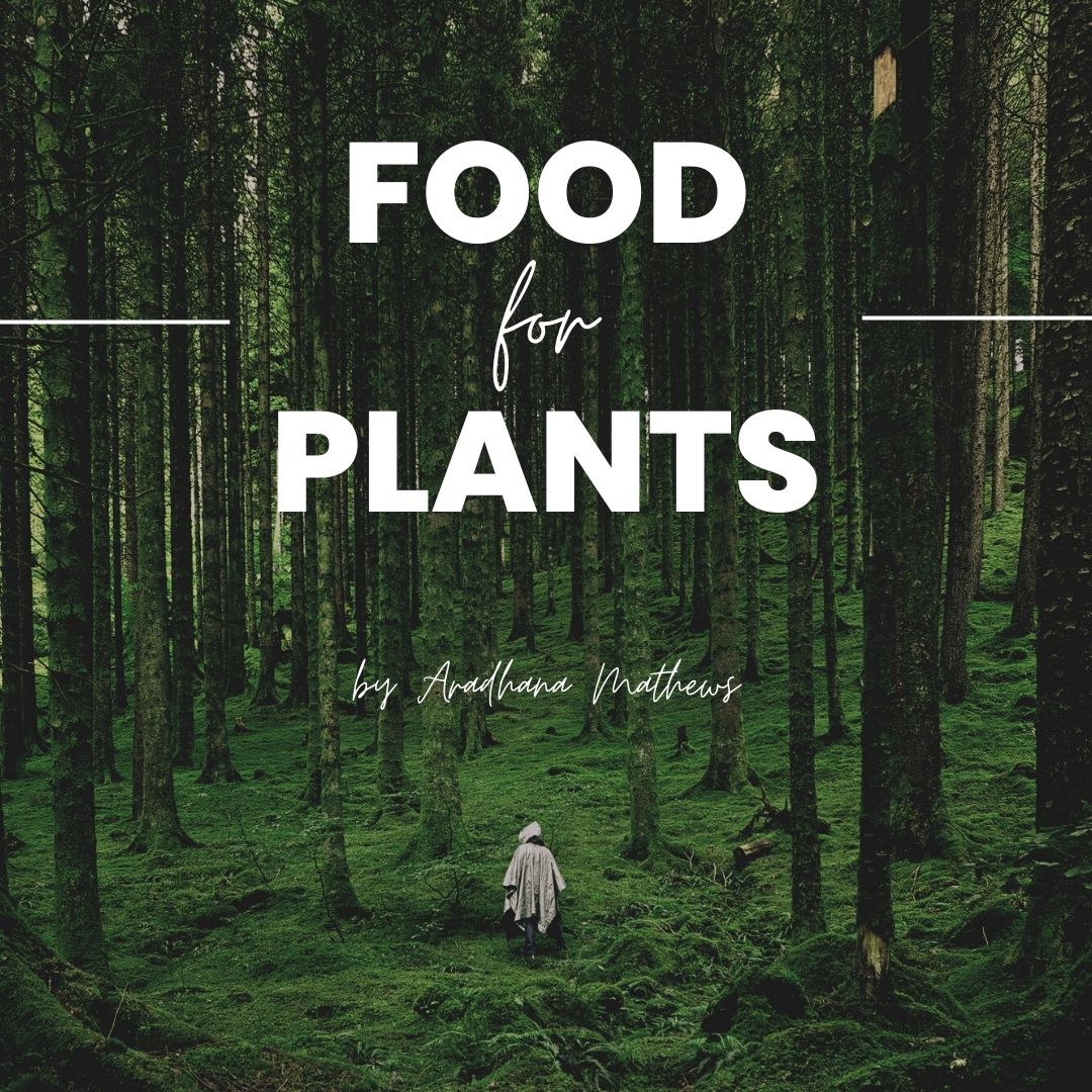 food for plants cover